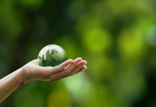 Fernando Trabach Filho revela como a economia verde está moldando novas profissões e abrindo caminhos para os empregos do futuro.