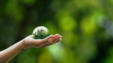 Fernando Trabach Filho revela como a economia verde está moldando novas profissões e abrindo caminhos para os empregos do futuro.