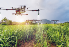 Automação no campo: tendência ou necessidade? João Eustáquio De Almeida Junior analisa como a agricultura moderna está transformando produtividade e gestão no agronegócio.