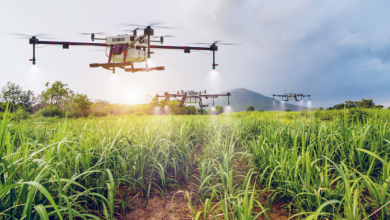 Automação no campo: tendência ou necessidade? João Eustáquio De Almeida Junior analisa como a agricultura moderna está transformando produtividade e gestão no agronegócio.