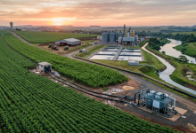 EBS Empresa Brasileira De Saneamento Ltda